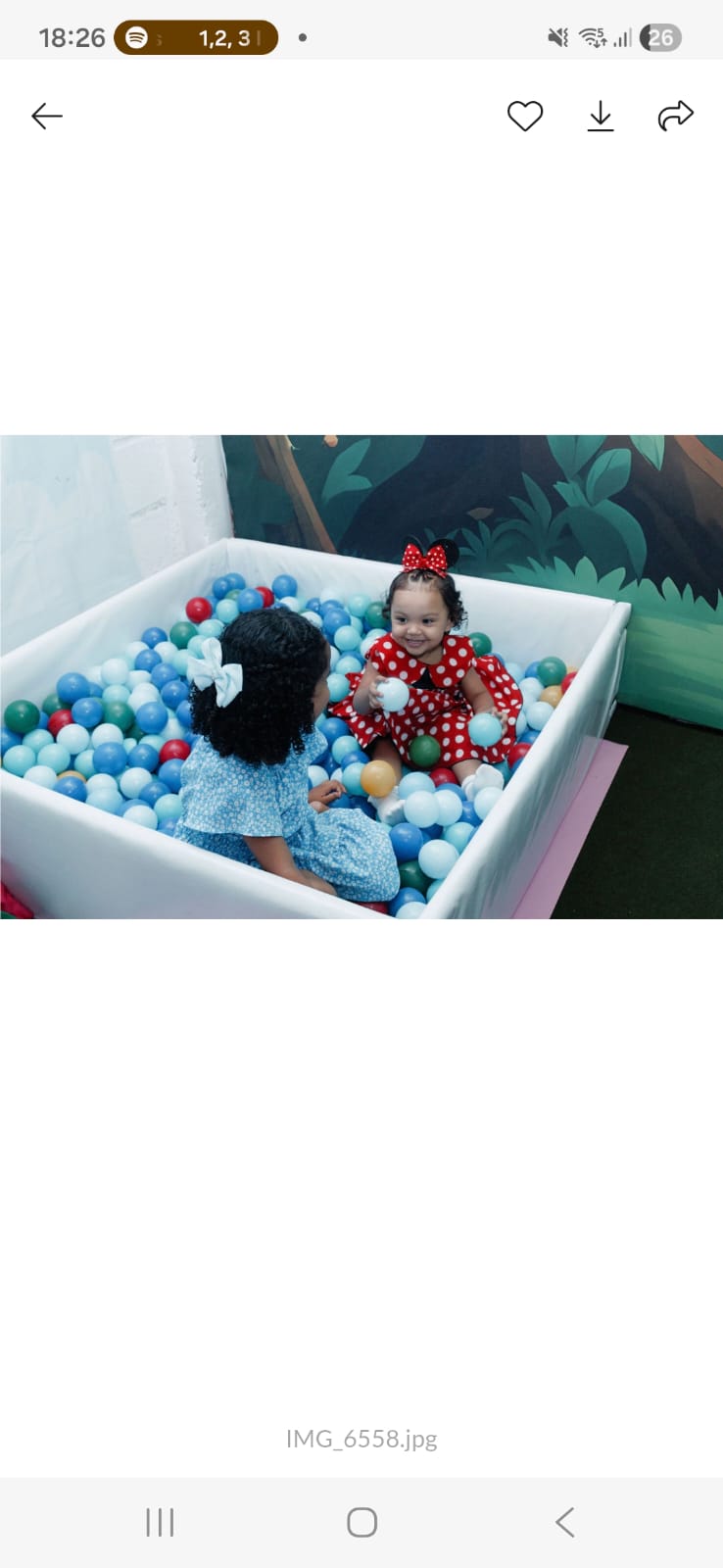 Crianças brincando na piscina de bolinhas